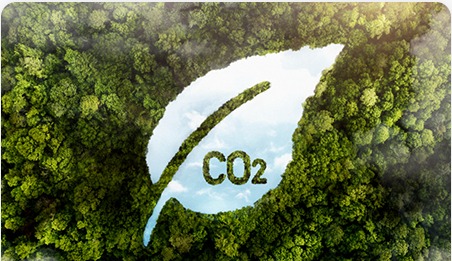 Geringer CO2-Fußabdruck